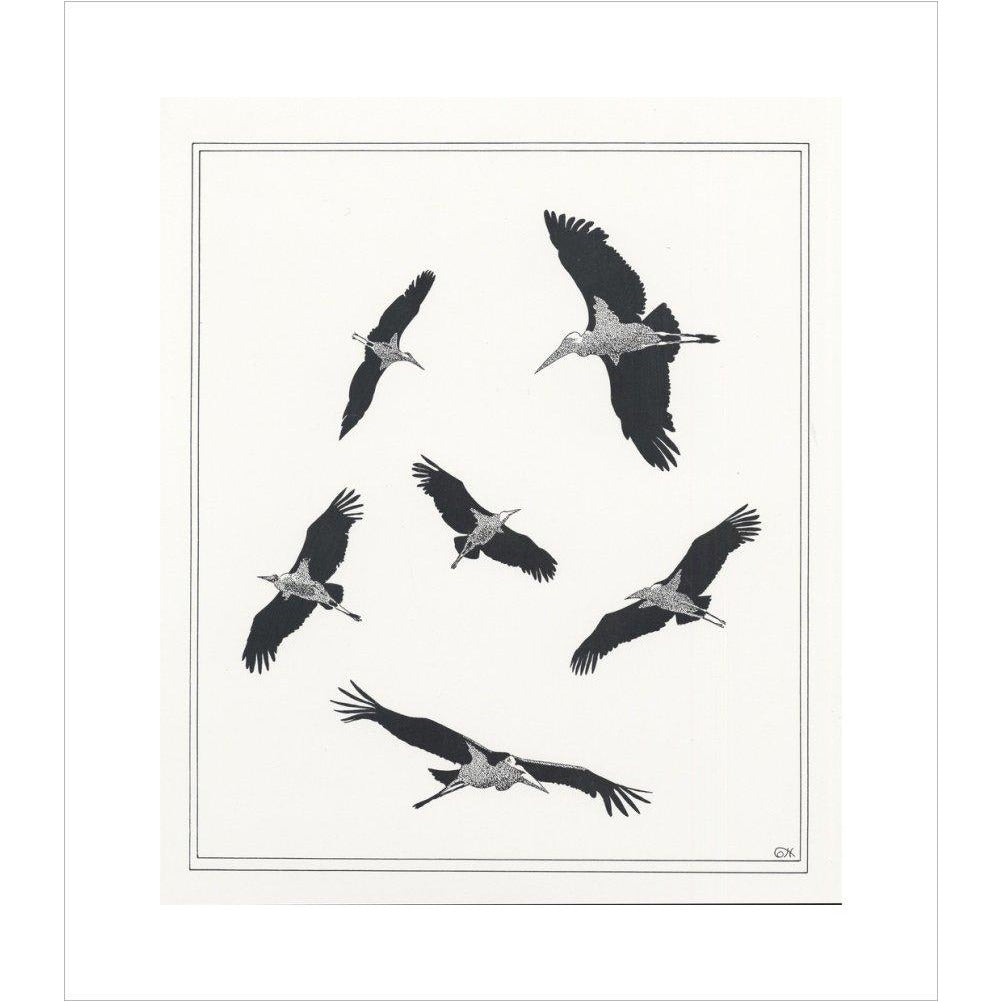 Marabou Sailing - art print