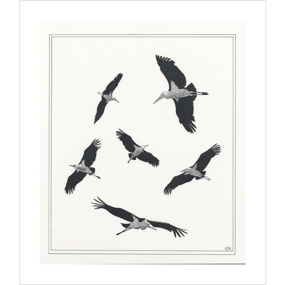 Marabou Sailing - art print