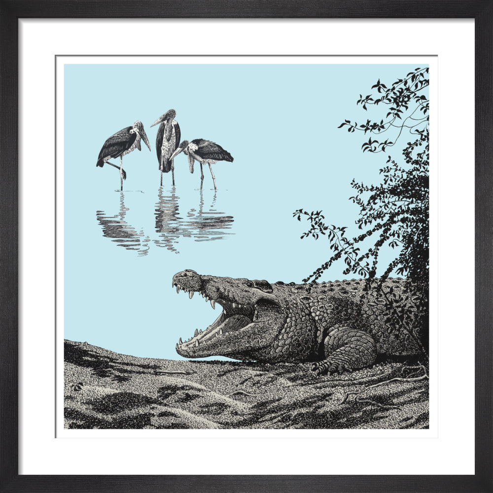 Crocodile and Marabou - art print