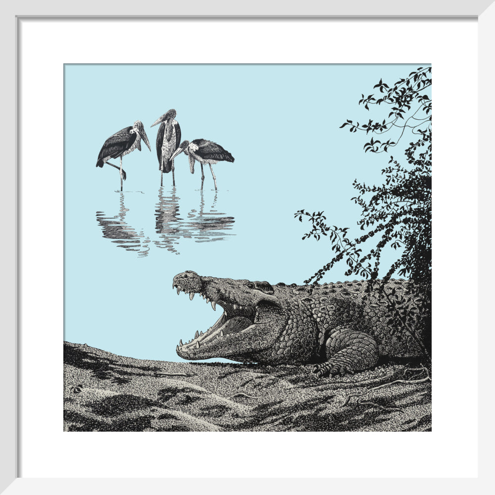 Crocodile and Marabou - art print