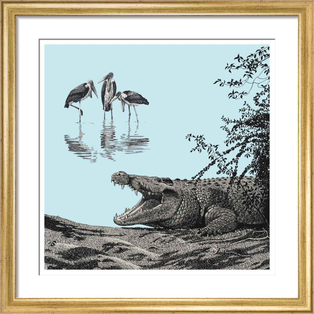 Crocodile and Marabou - art print