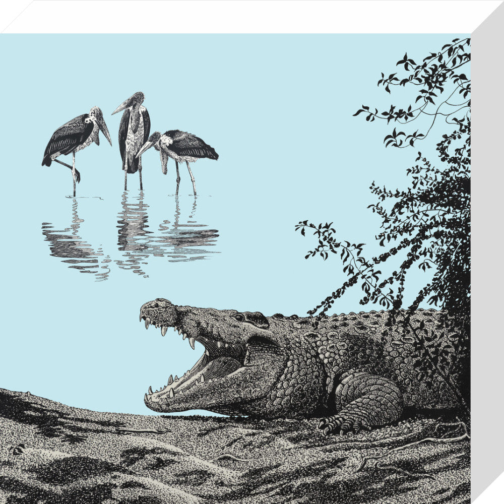 Crocodile and Marabou - art print