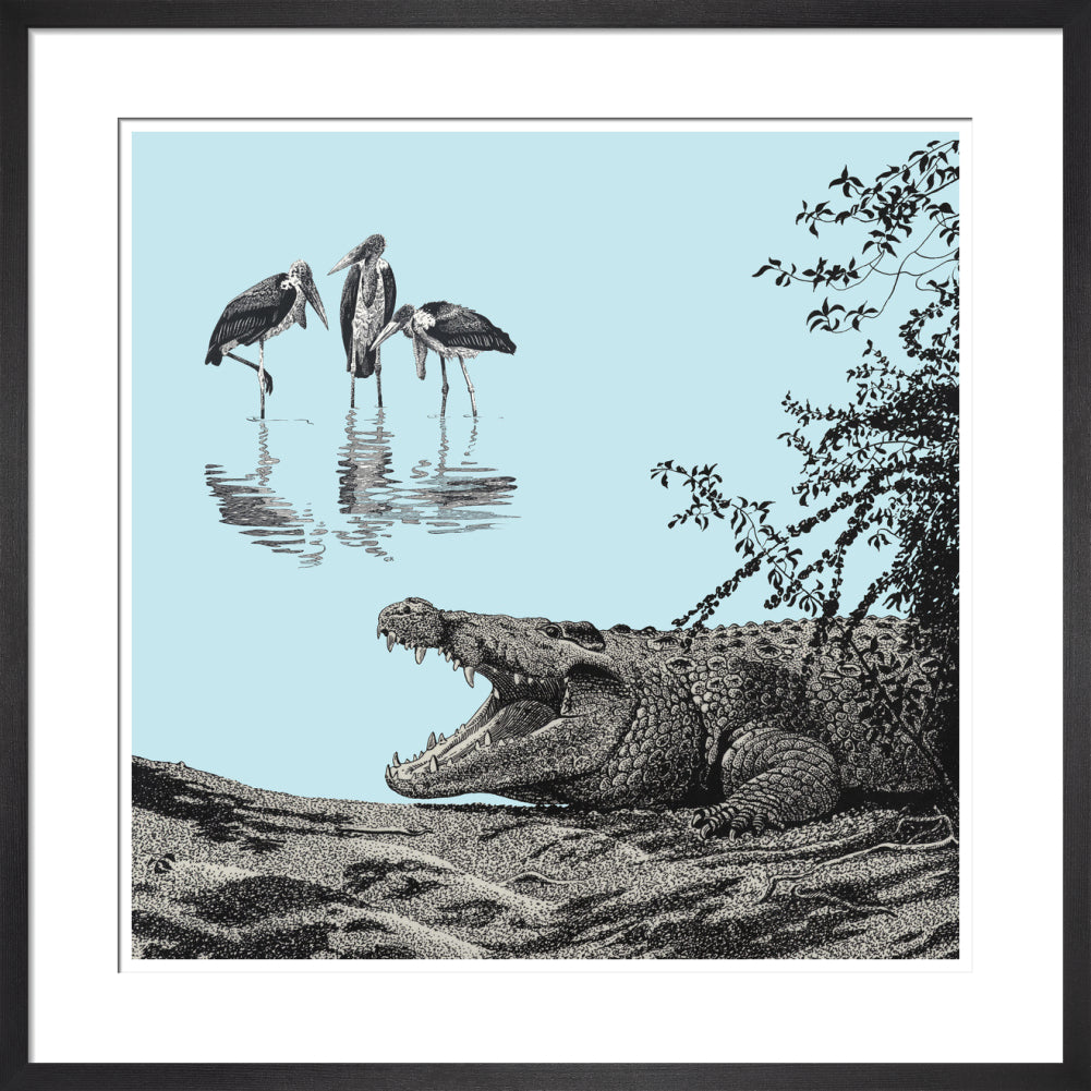 Crocodile and Marabou - art print