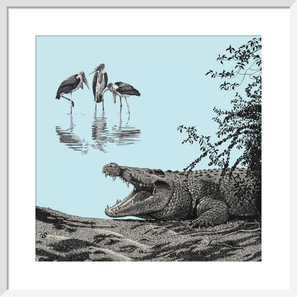 Crocodile and Marabou - art print