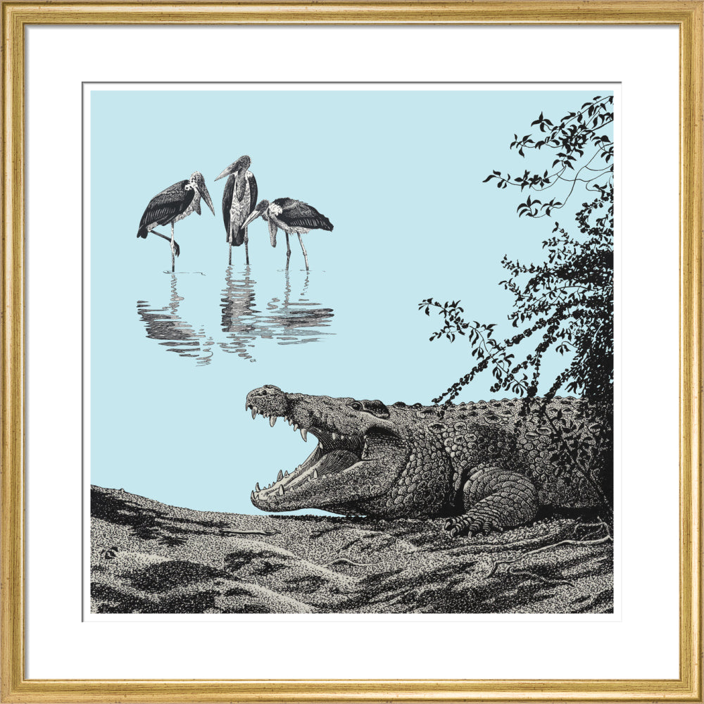 Crocodile and Marabou - art print