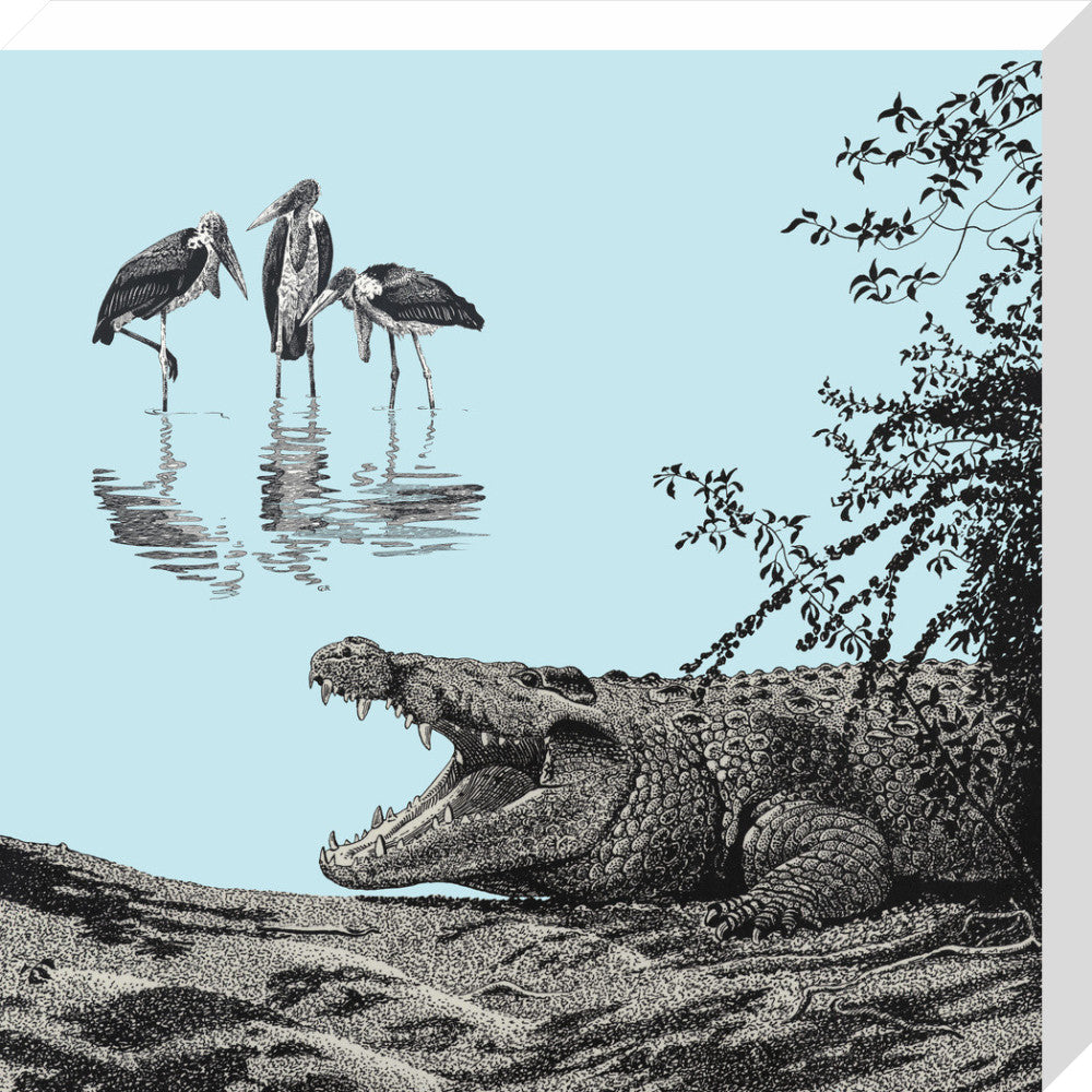 Crocodile and Marabou - art print