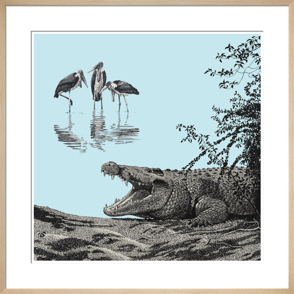 Crocodile and Marabou - art print