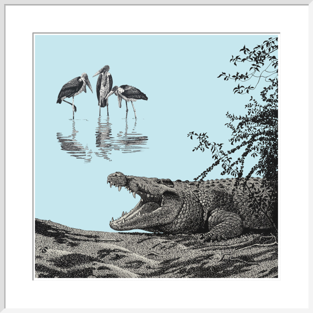 Crocodile and Marabou - art print