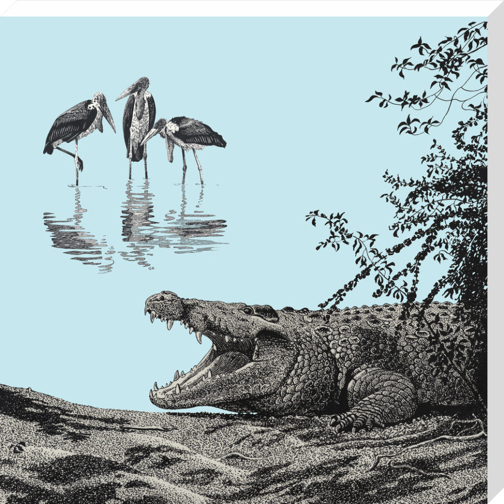 Crocodile and Marabou - art print