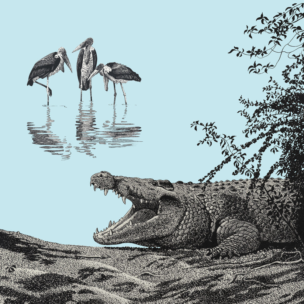Crocodile and Marabou - art print
