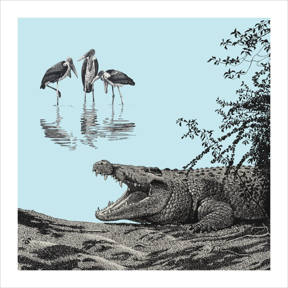 Crocodile and Marabou - art print