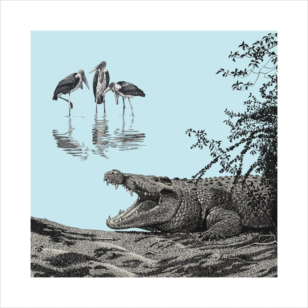 Crocodile and Marabou - art print