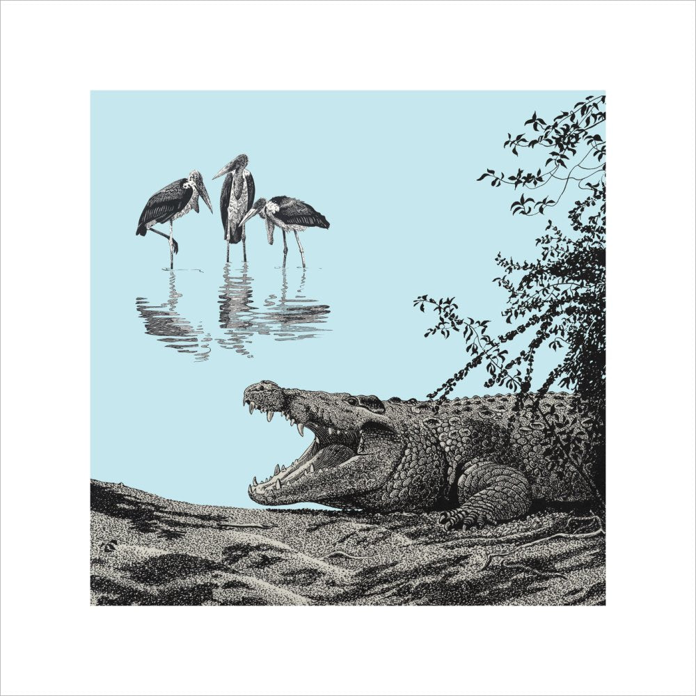 Crocodile and Marabou - art print