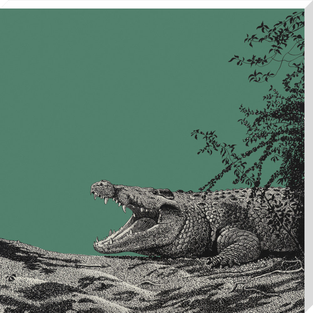 Bull Crocodile on Green - art print