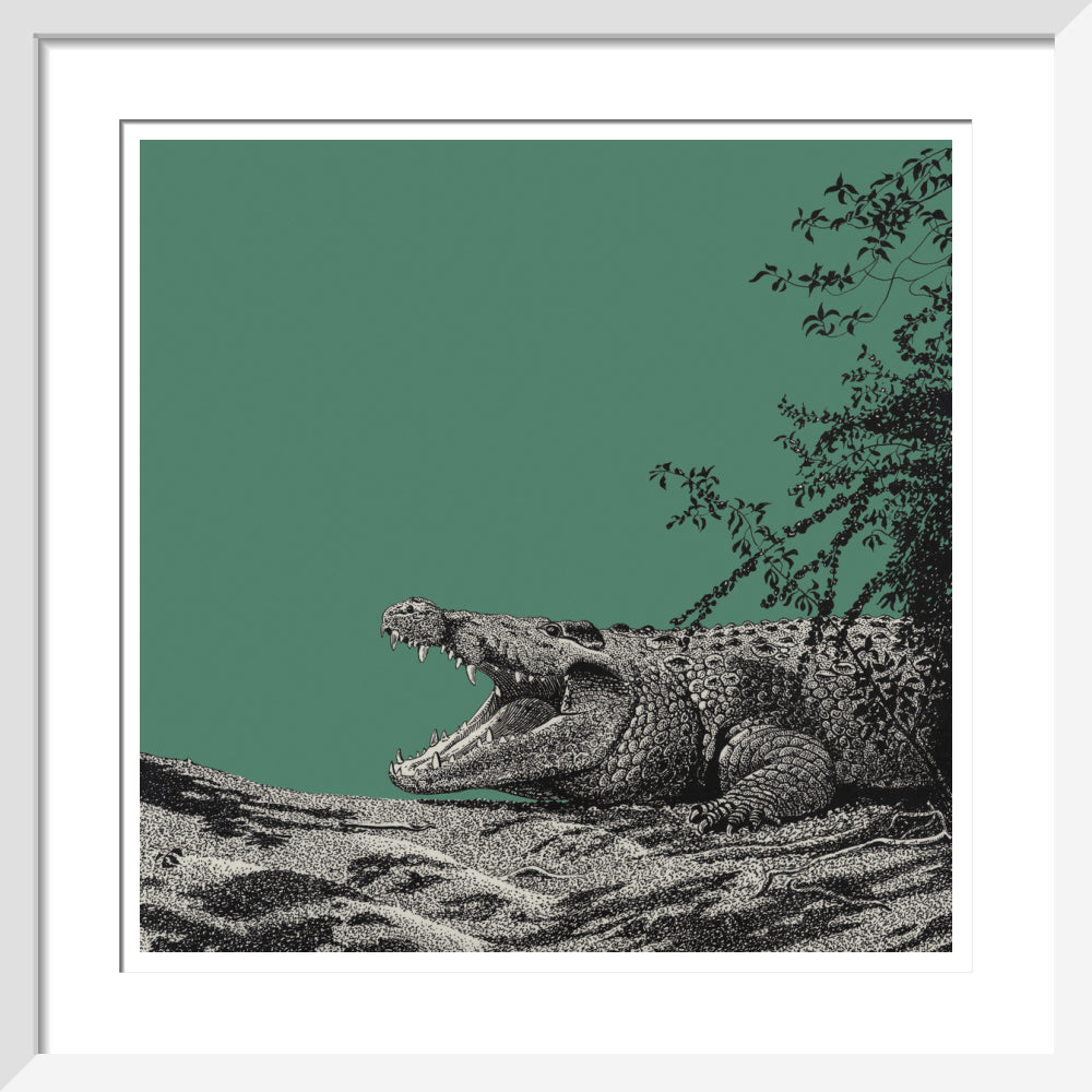 Bull Crocodile on Green - art print