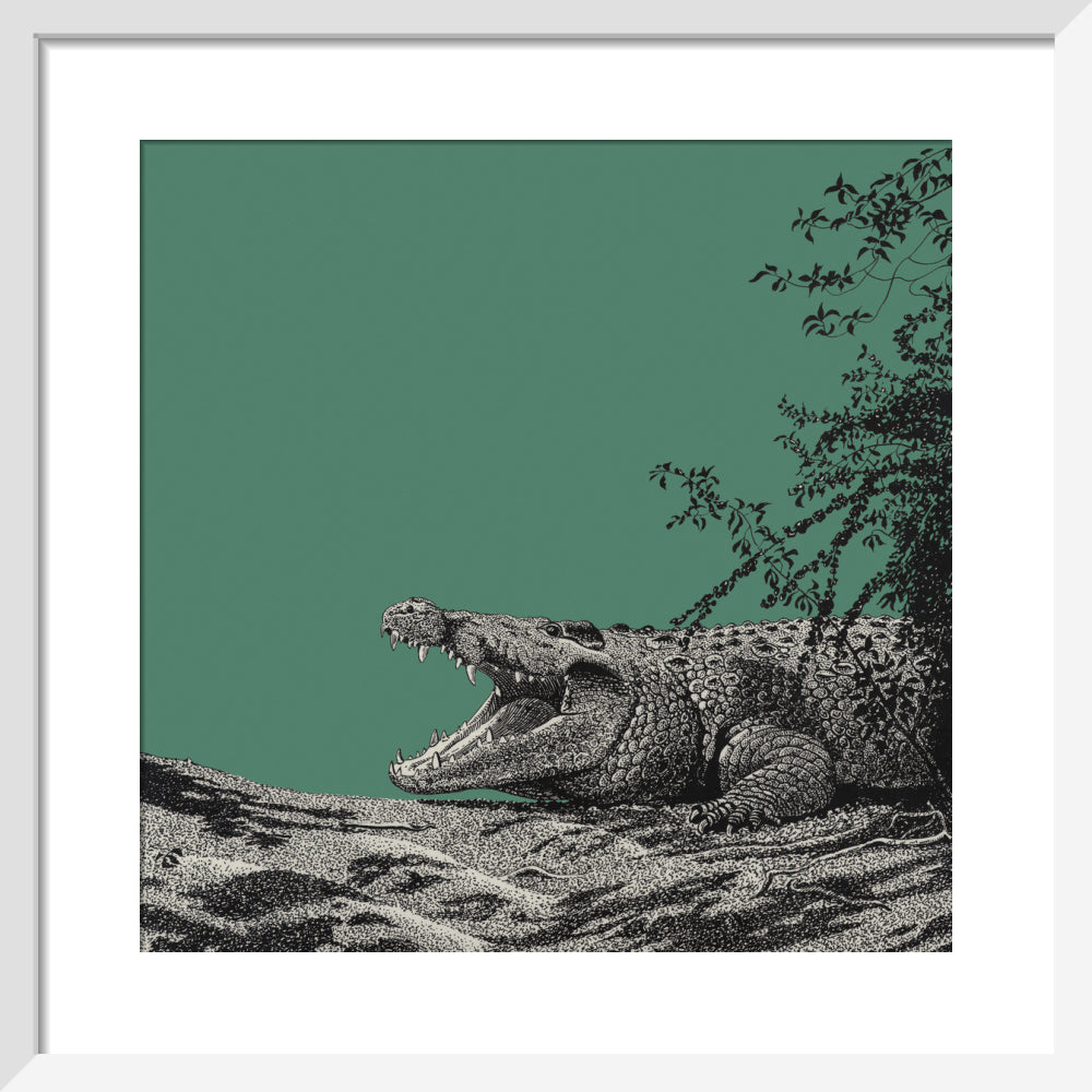 Bull Crocodile on Green - art print