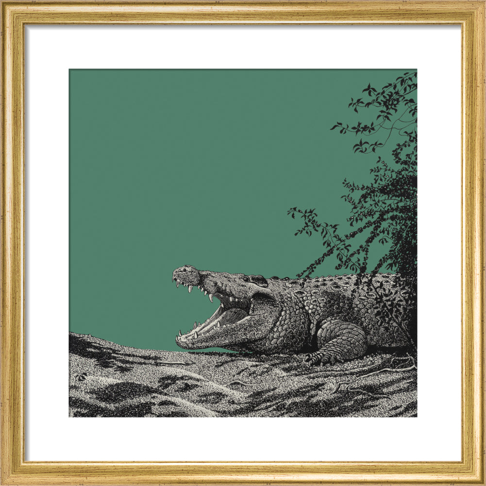 Bull Crocodile on Green - art print