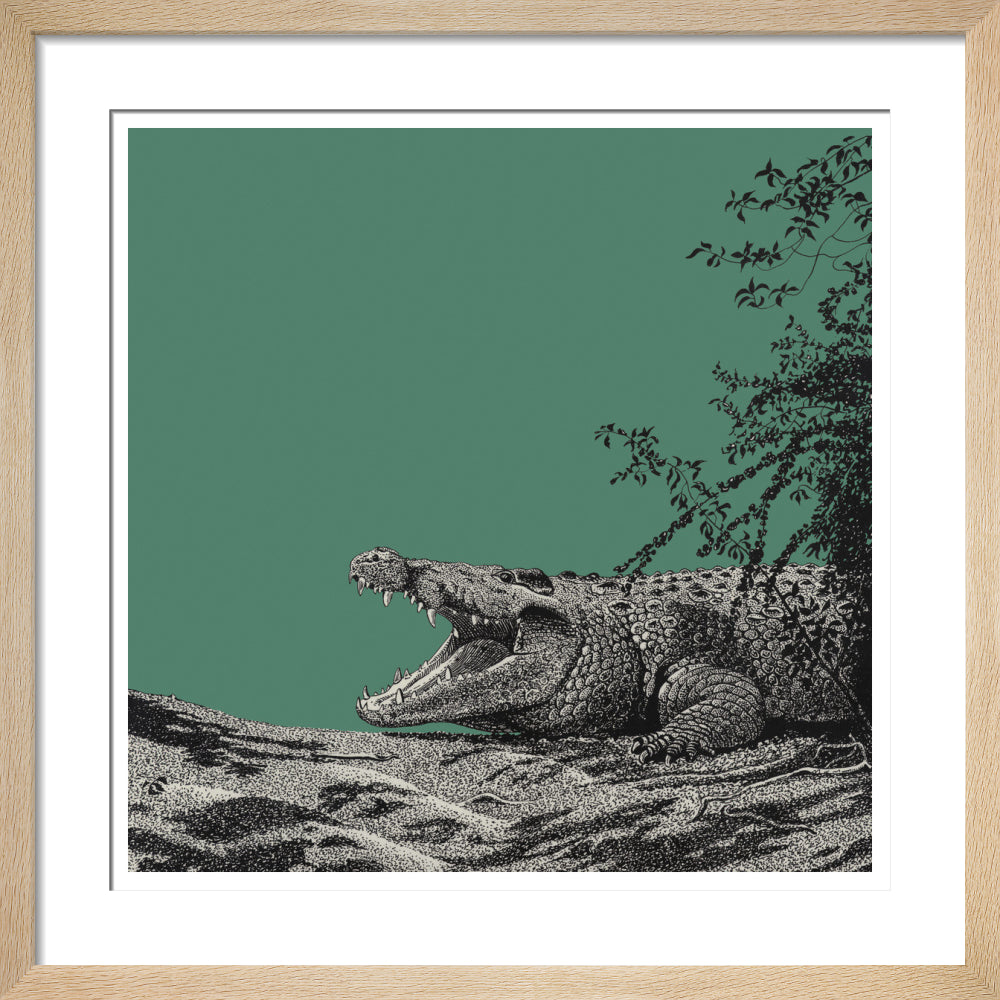 Bull Crocodile on Green - art print