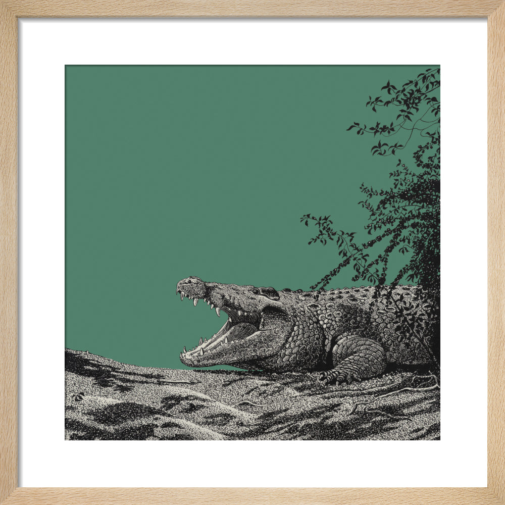 Bull Crocodile on Green - art print