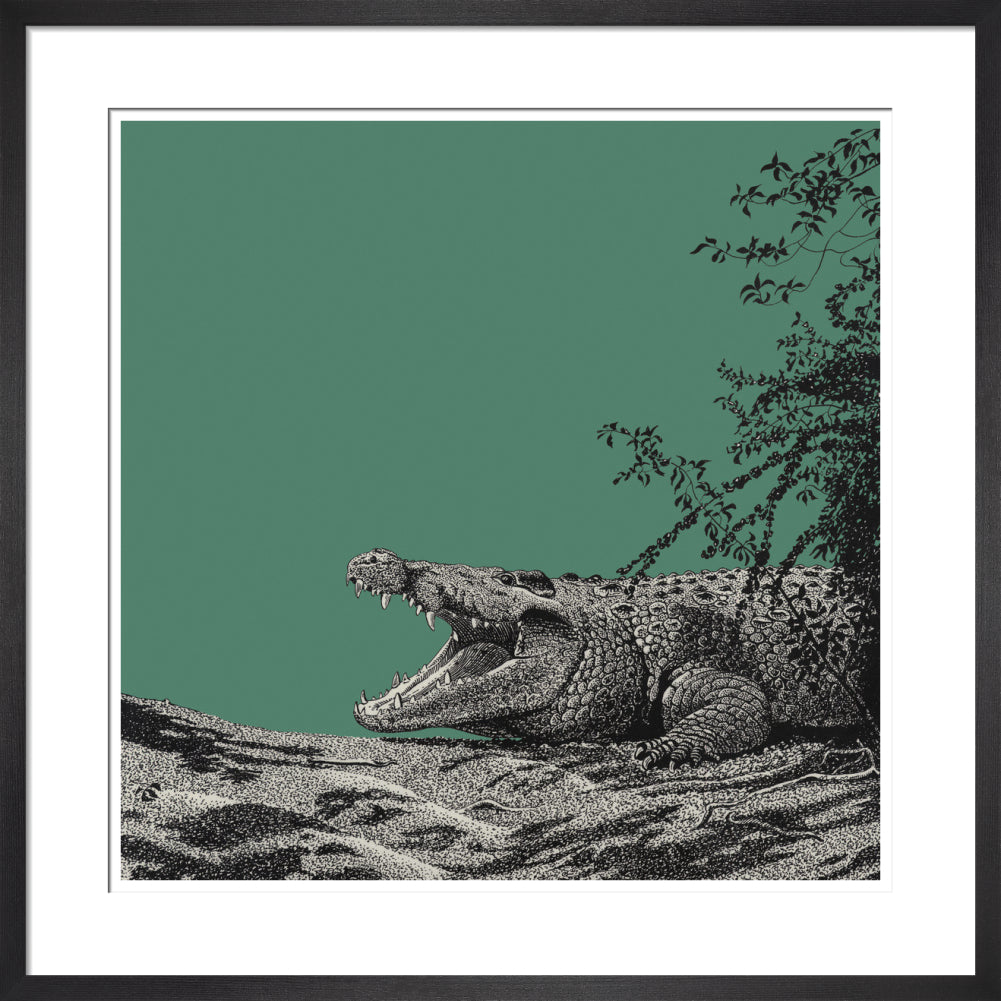 Bull Crocodile on Green - art print