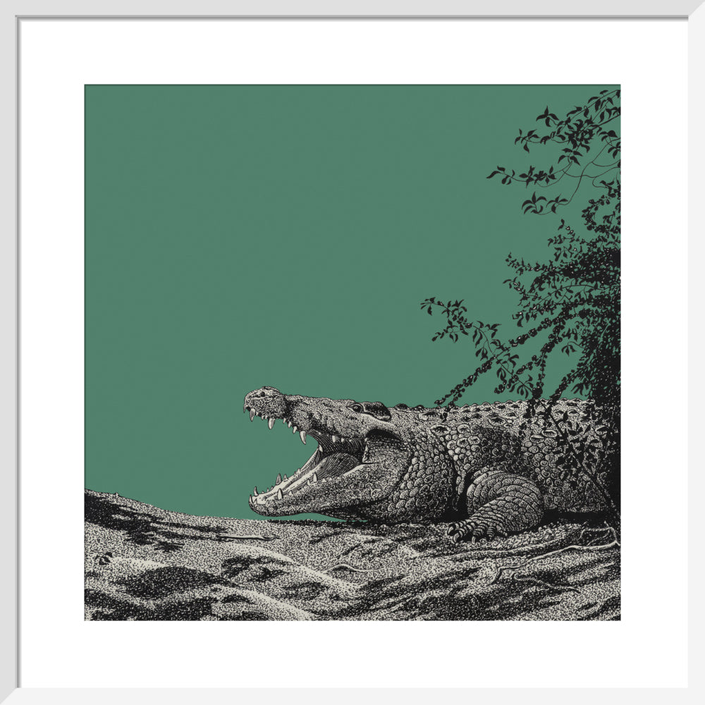 Bull Crocodile on Green - art print