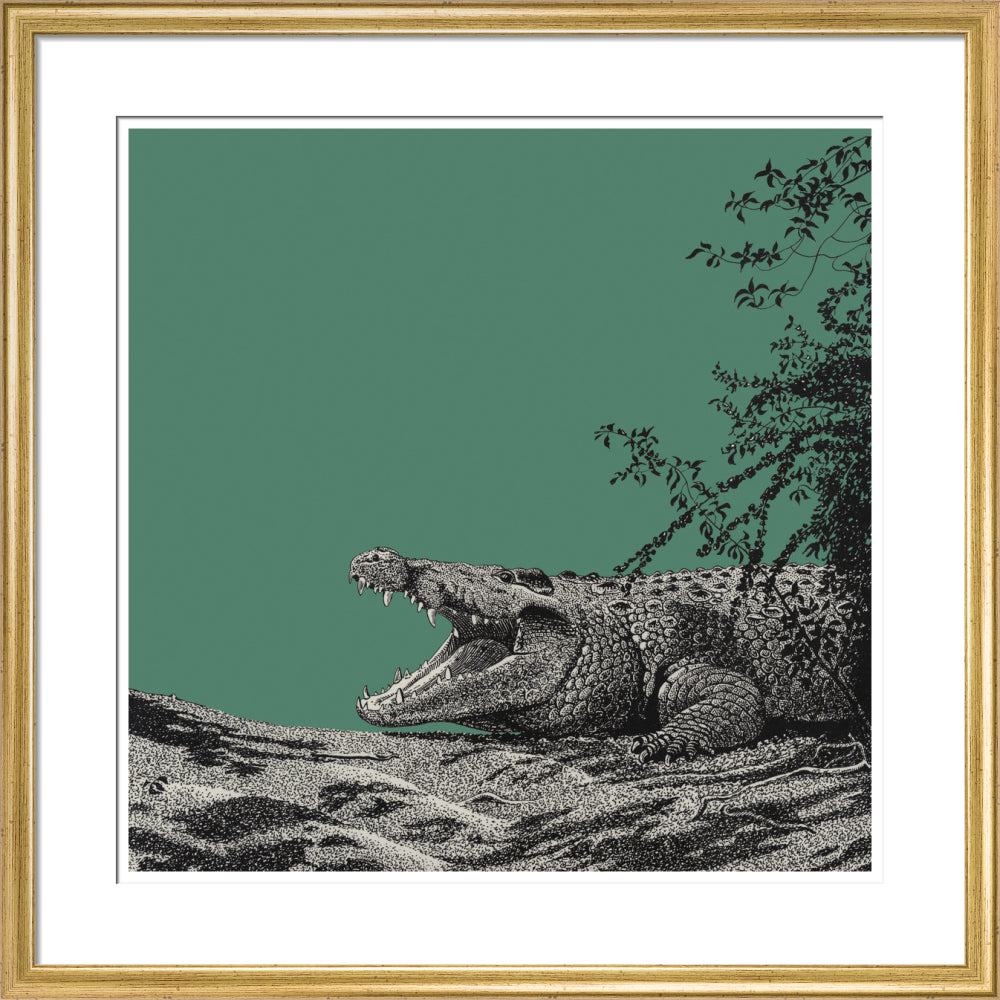 Bull Crocodile on Green - art print