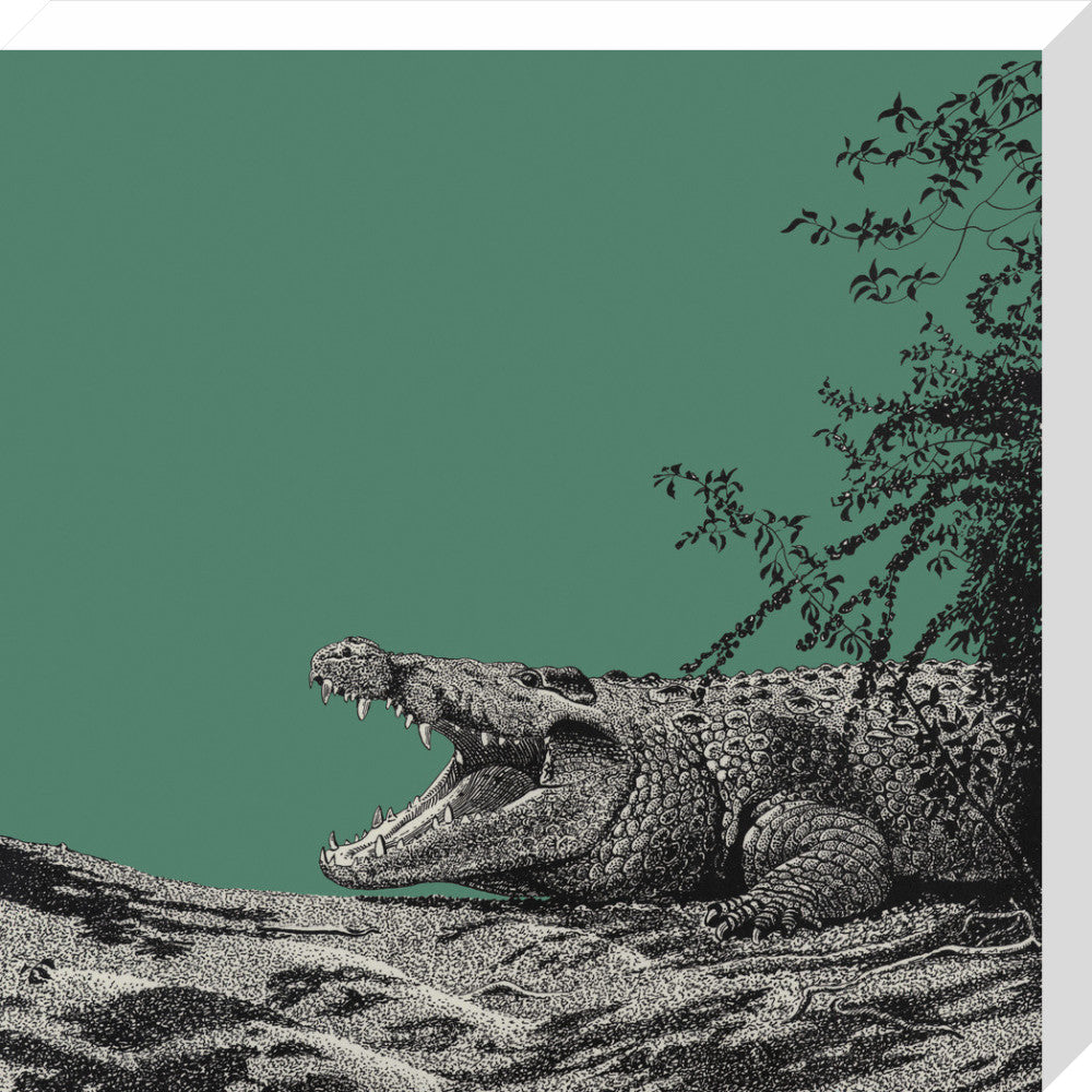 Bull Crocodile on Green - art print