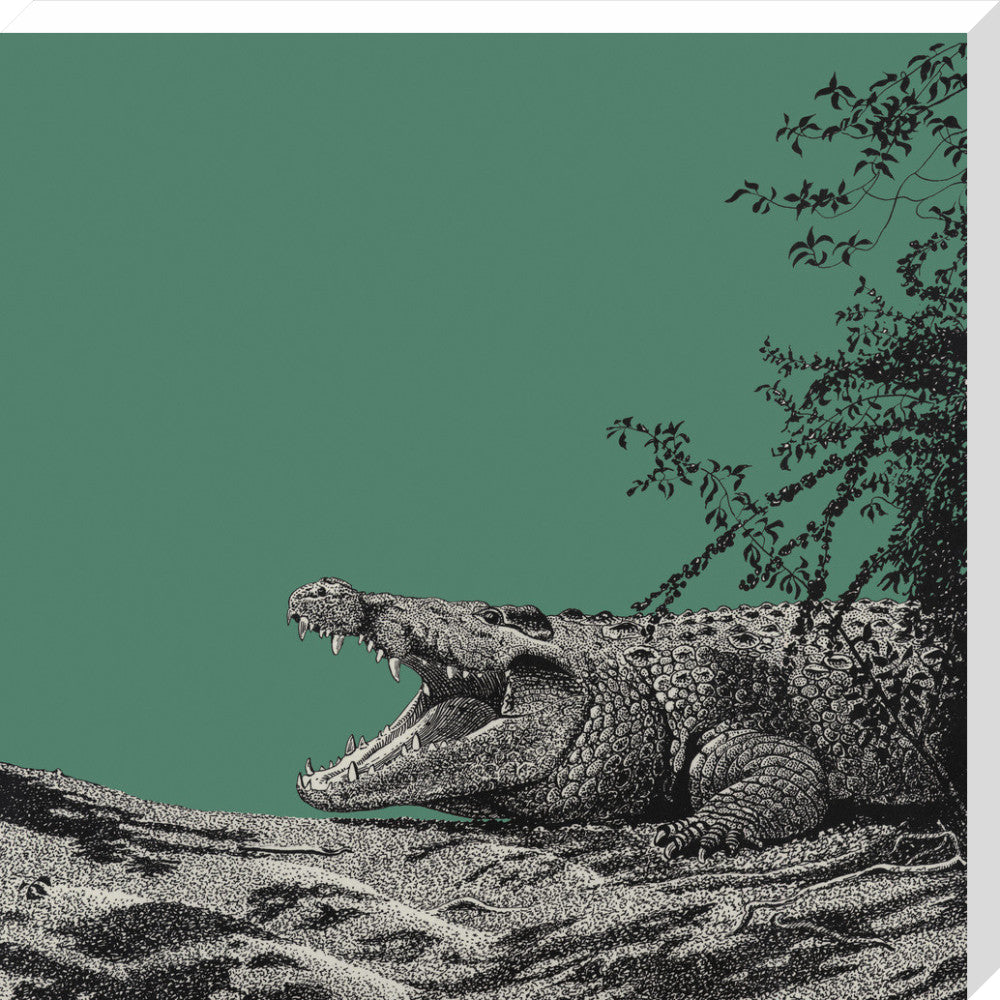 Bull Crocodile on Green - art print