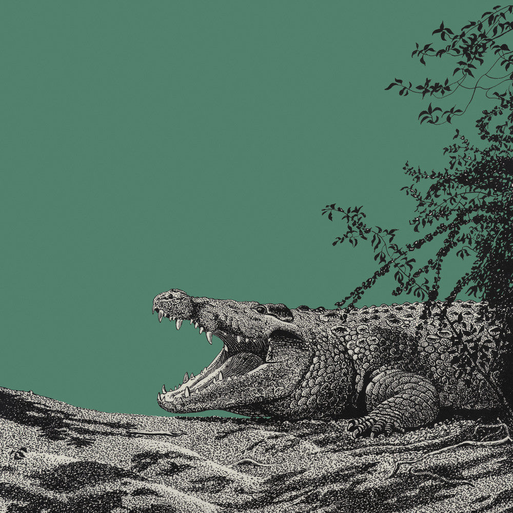 Bull Crocodile on Green - art print