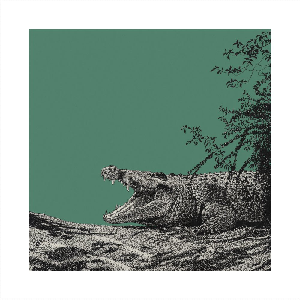 Bull Crocodile on Green - art print