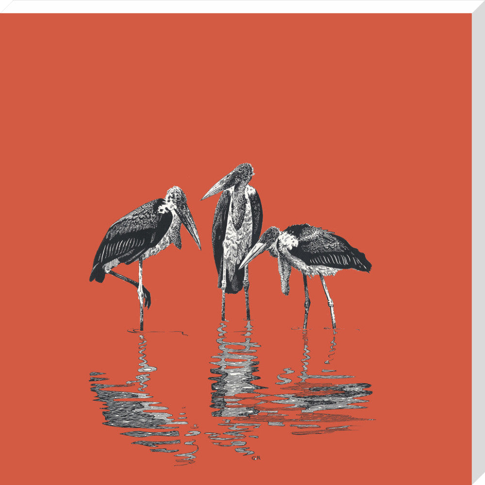 Marabou Storks - art print