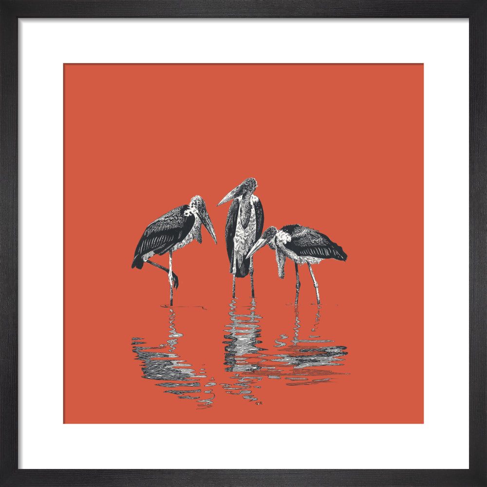 Marabou Storks - art print