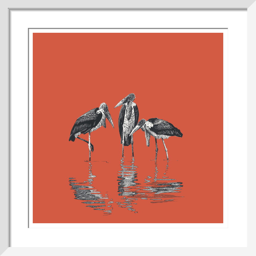 Marabou Storks - art print