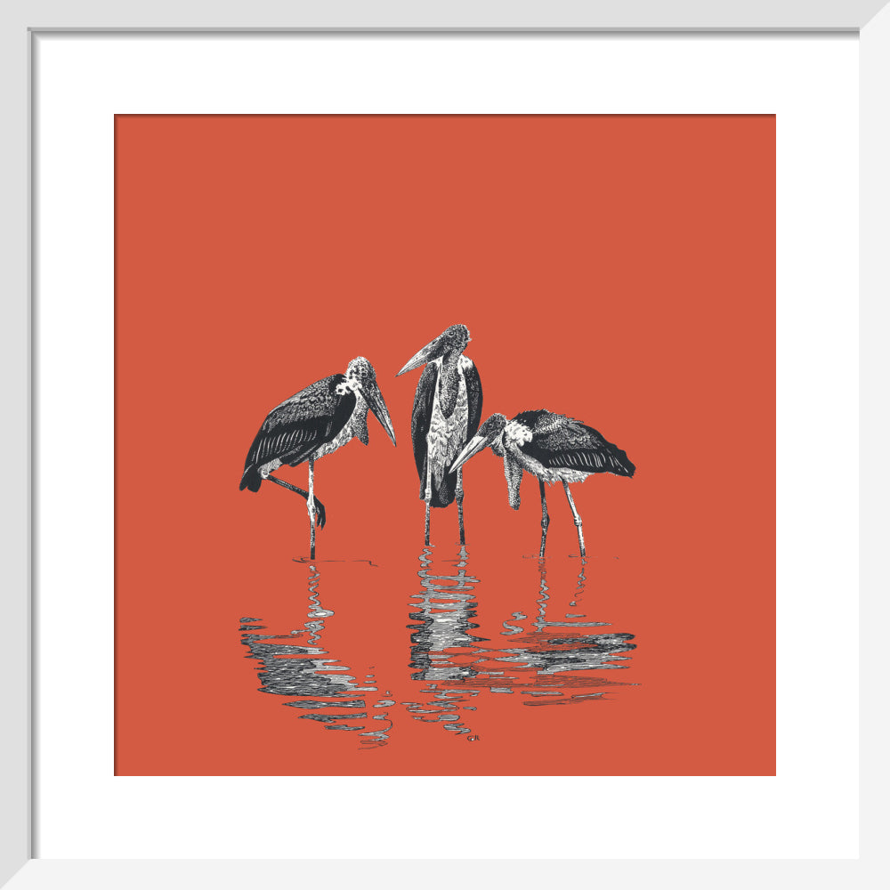 Marabou Storks - art print