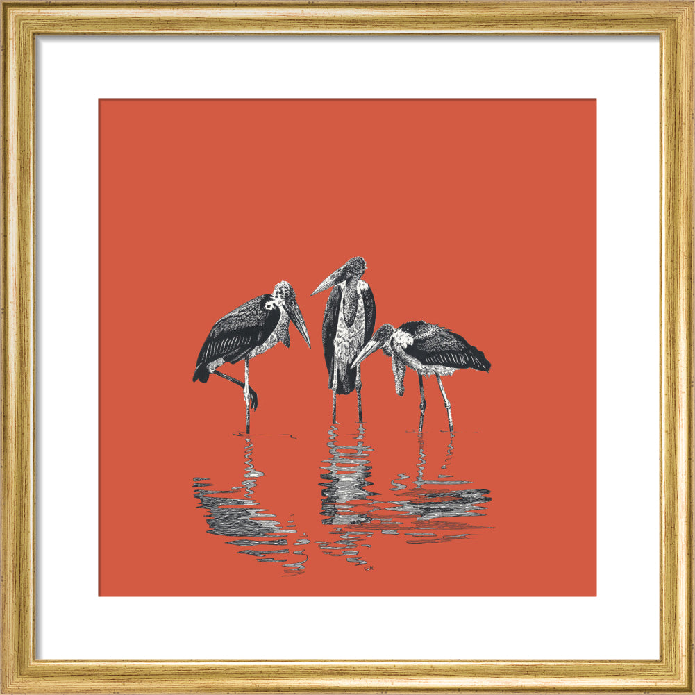 Marabou Storks - art print