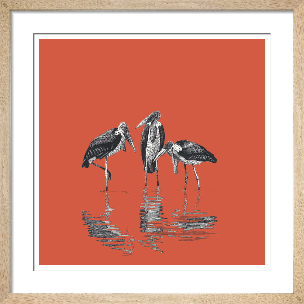 Marabou Storks - art print