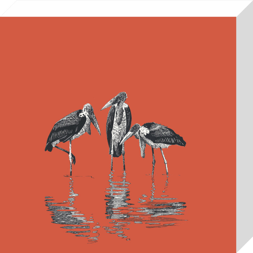 Marabou Storks - art print