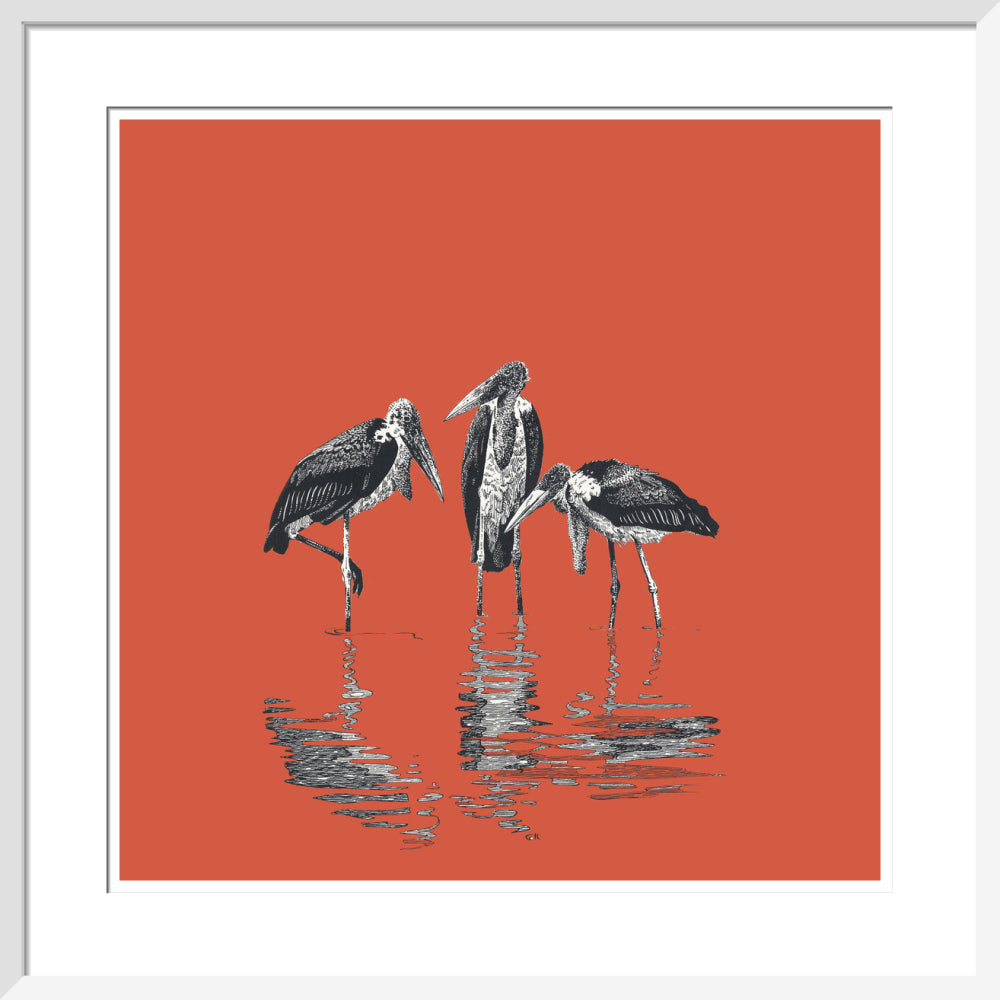 Marabou Storks - art print