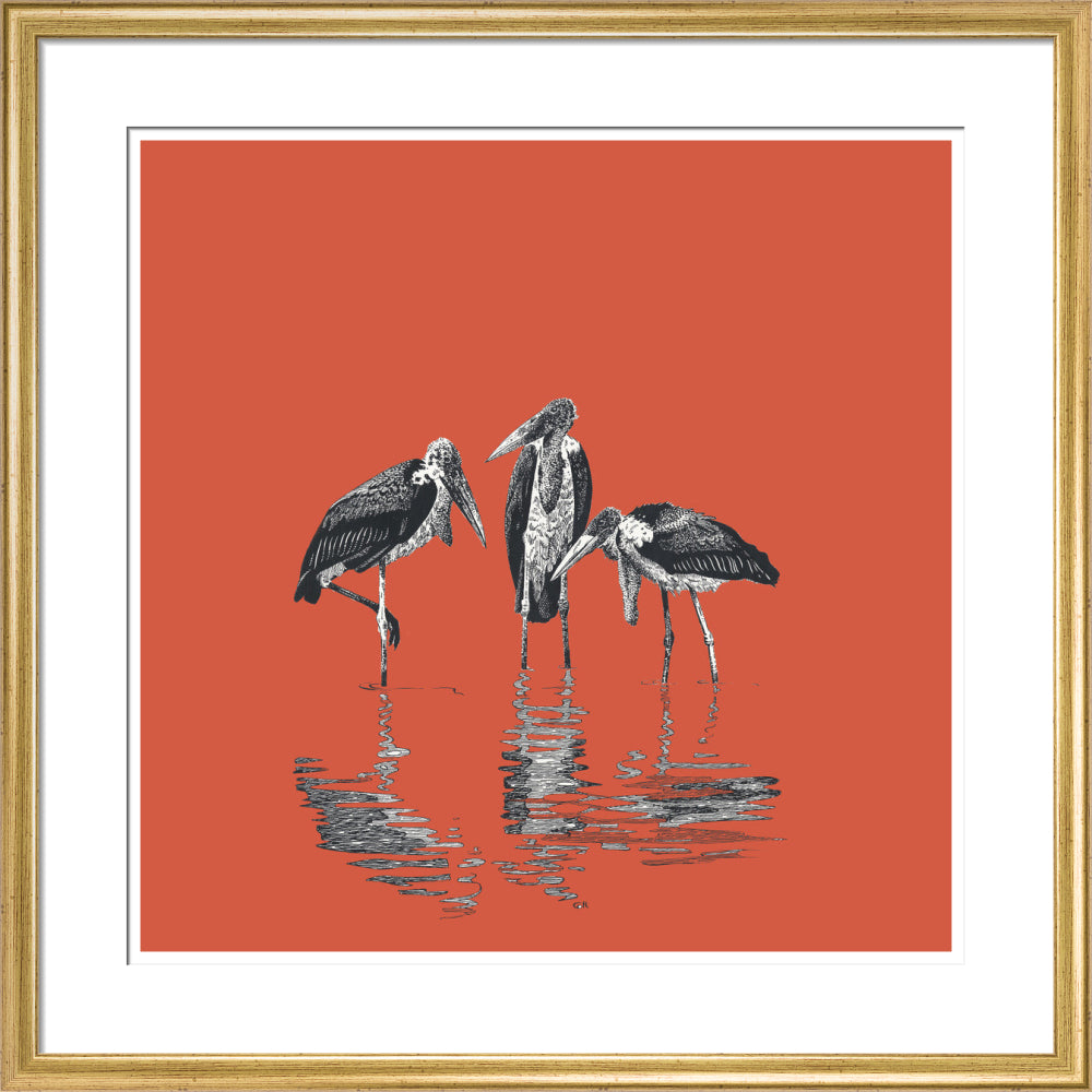 Marabou Storks - art print