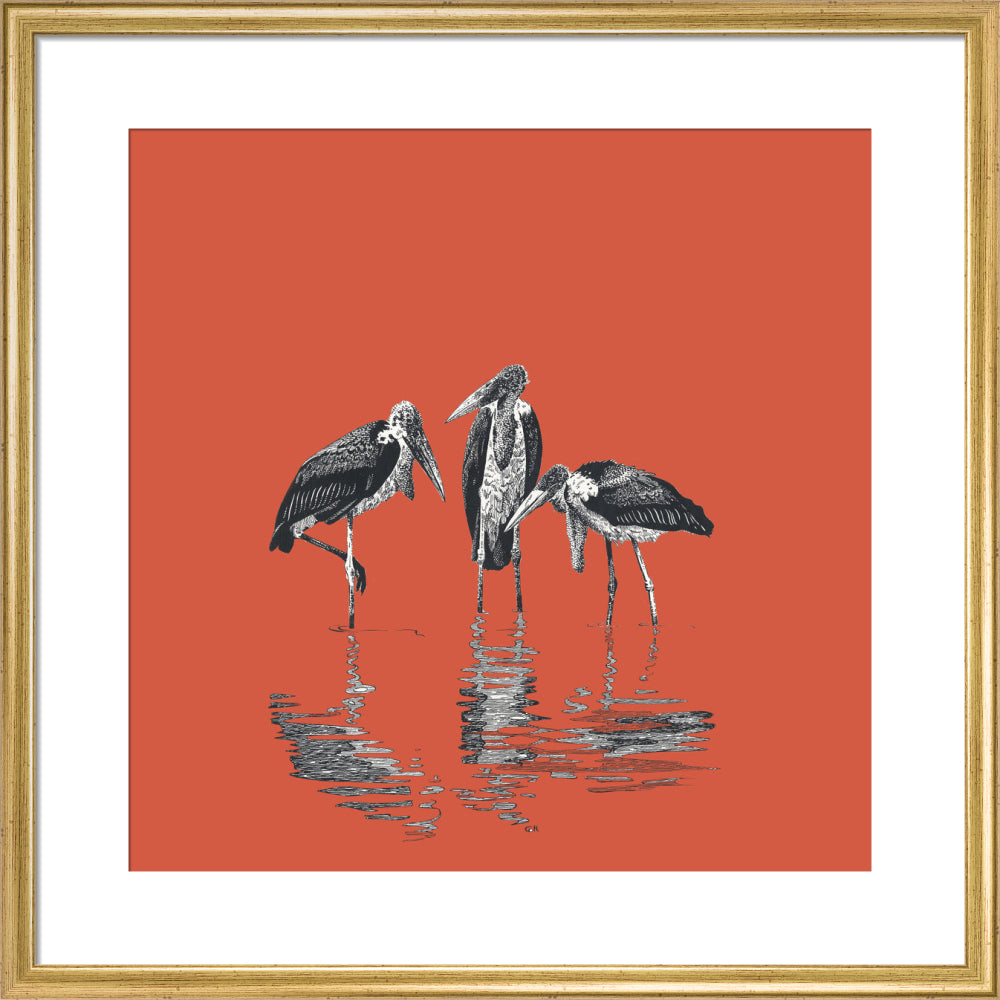 Marabou Storks - art print