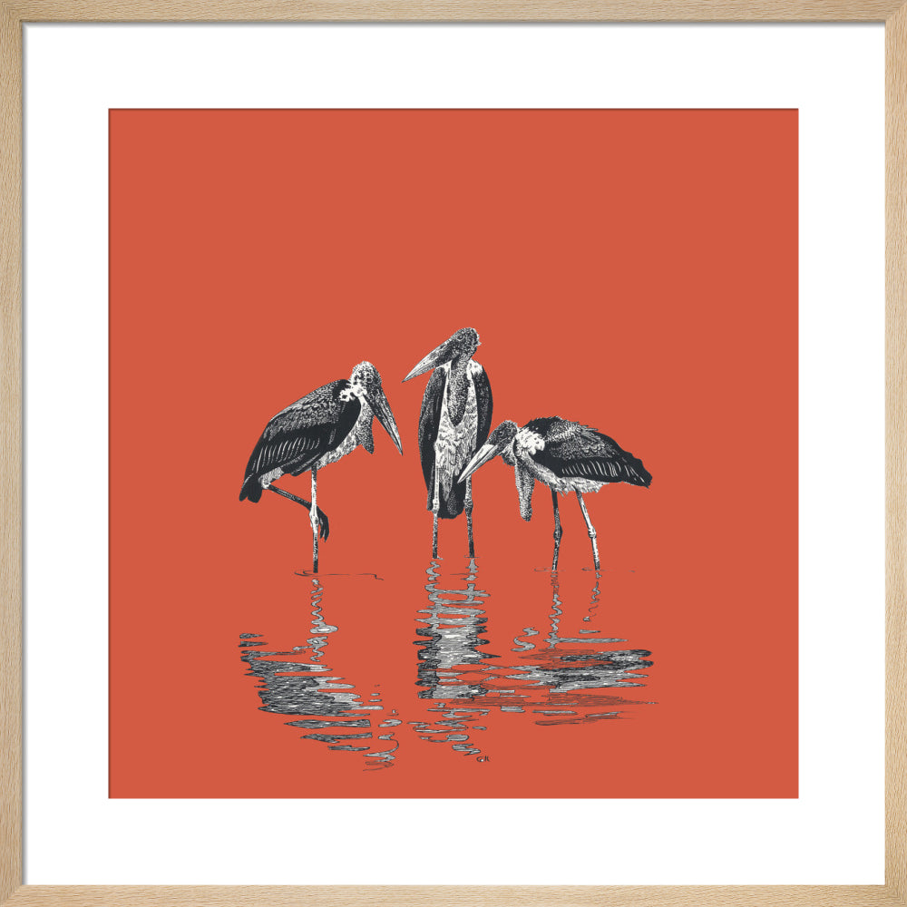 Marabou Storks - art print