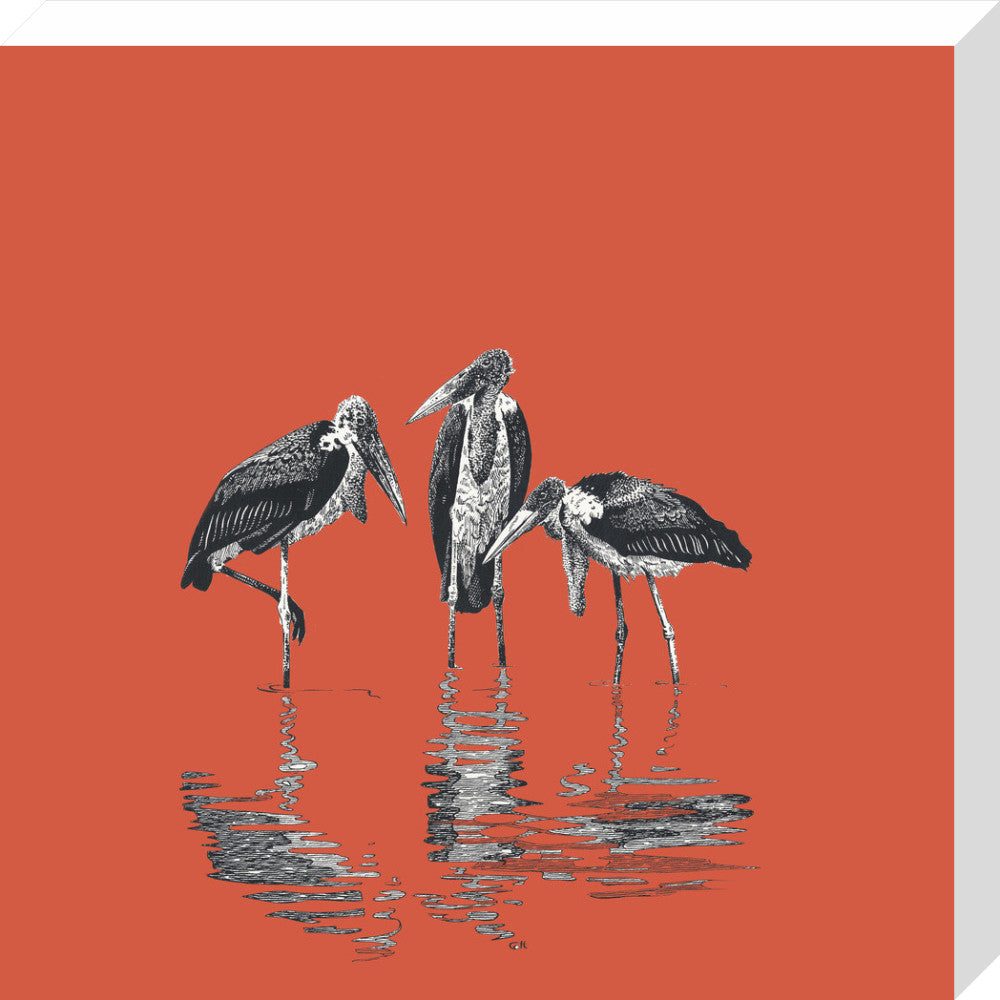 Marabou Storks - art print