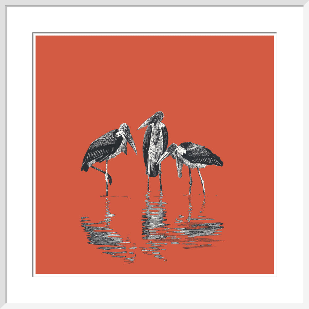Marabou Storks - art print