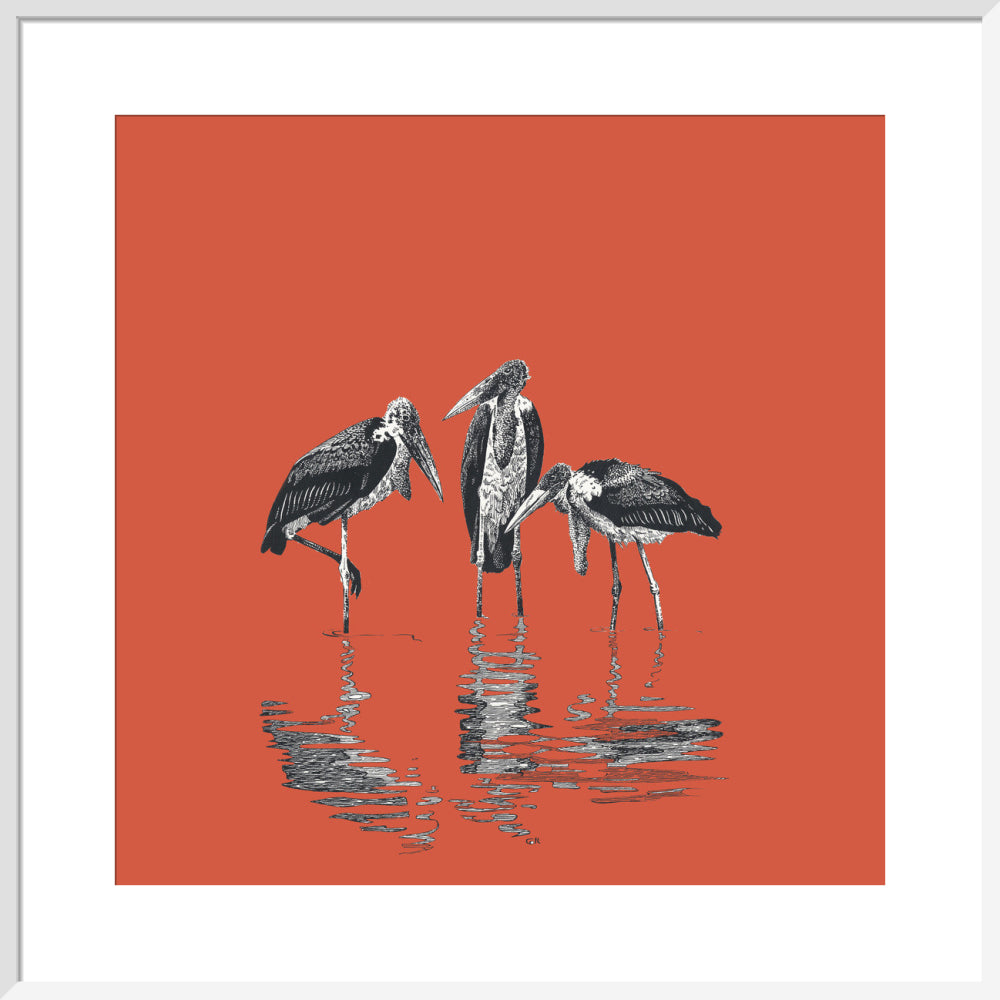 Marabou Storks - art print