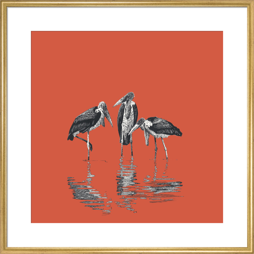 Marabou Storks - art print