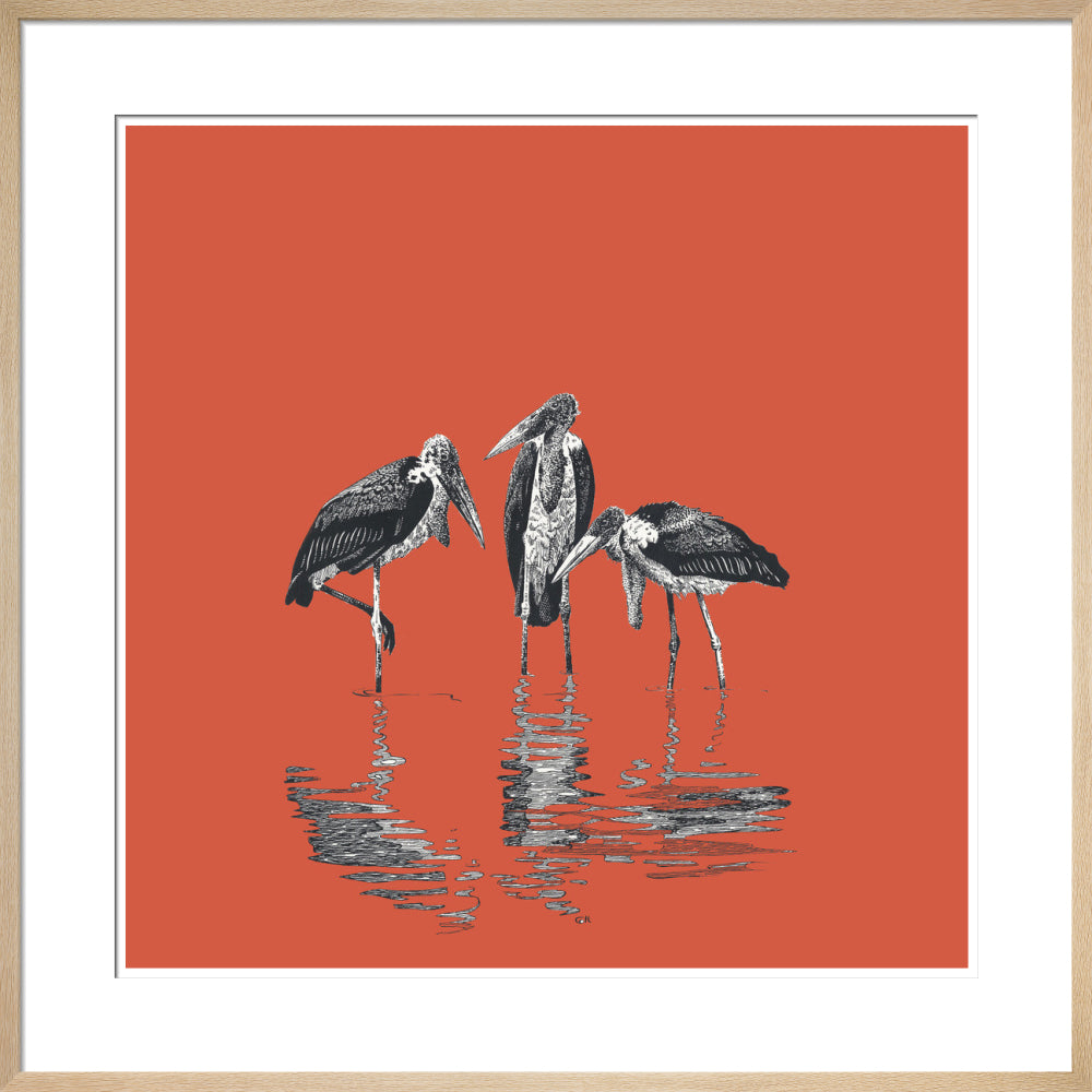 Marabou Storks - art print