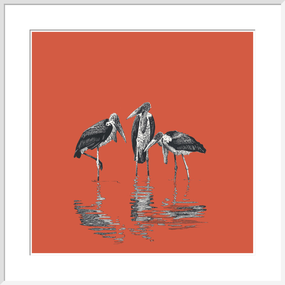 Marabou Storks - art print