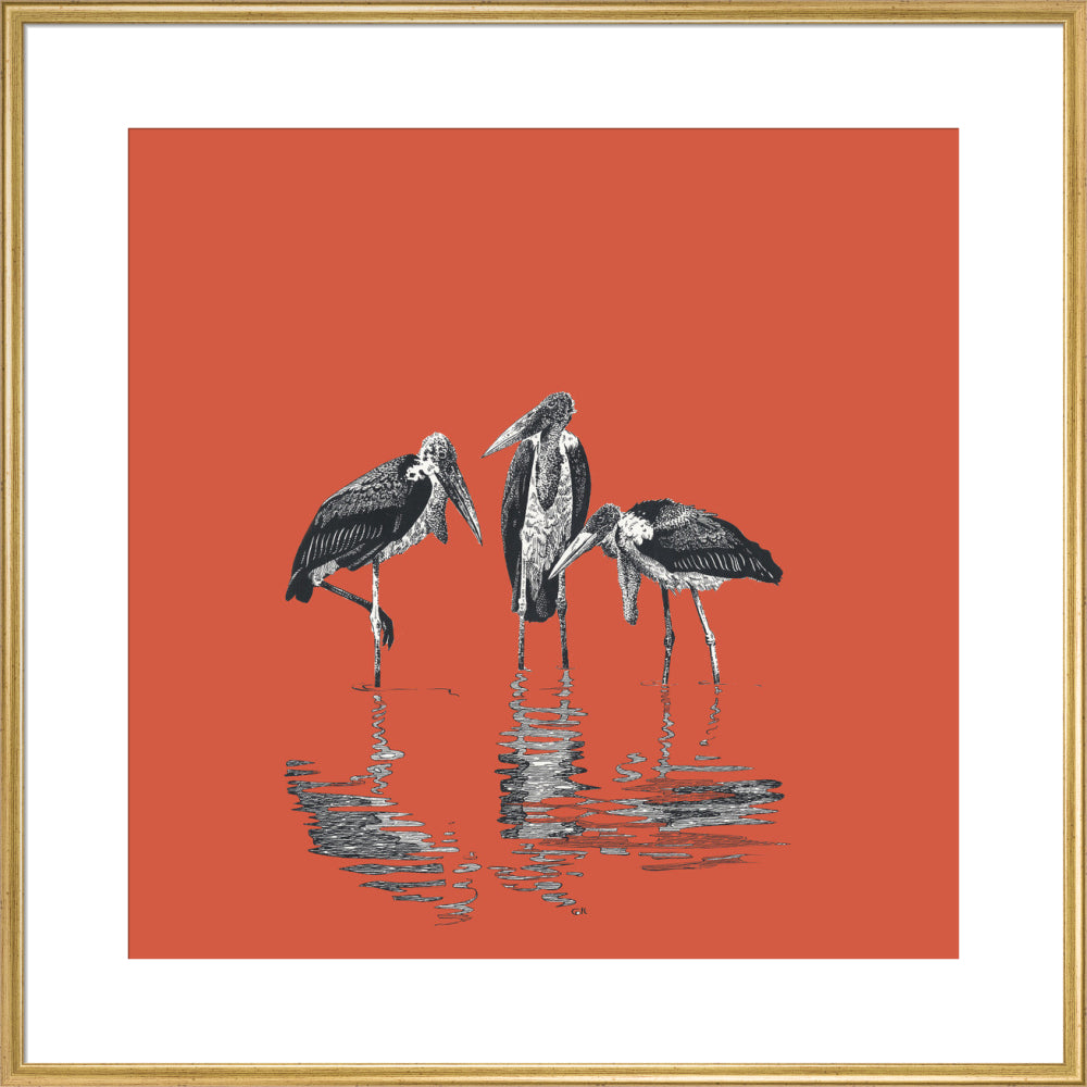 Marabou Storks - art print