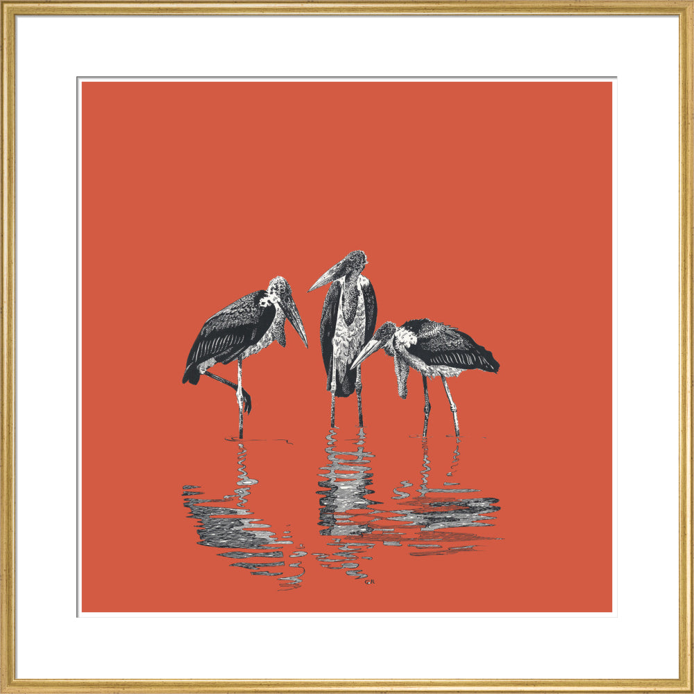 Marabou Storks - art print
