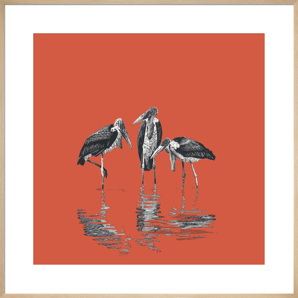 Marabou Storks - art print